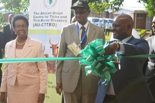 Photo caption: Hon Dr Allan Chiyembekeza, Minister of Agriculture, Irrigation and Water Development, Malawi cuts the ribbon to mark the official launch of Centre for Ticks and Tick-Borne Disease, Malawi. Hon. Dr Bright Rwamirama, State Minister for Animal Industry, Uganda and H.E Tumusiime Rhoda Peace, Commissioner for Rural Economy and Agriculture, African Union look on.